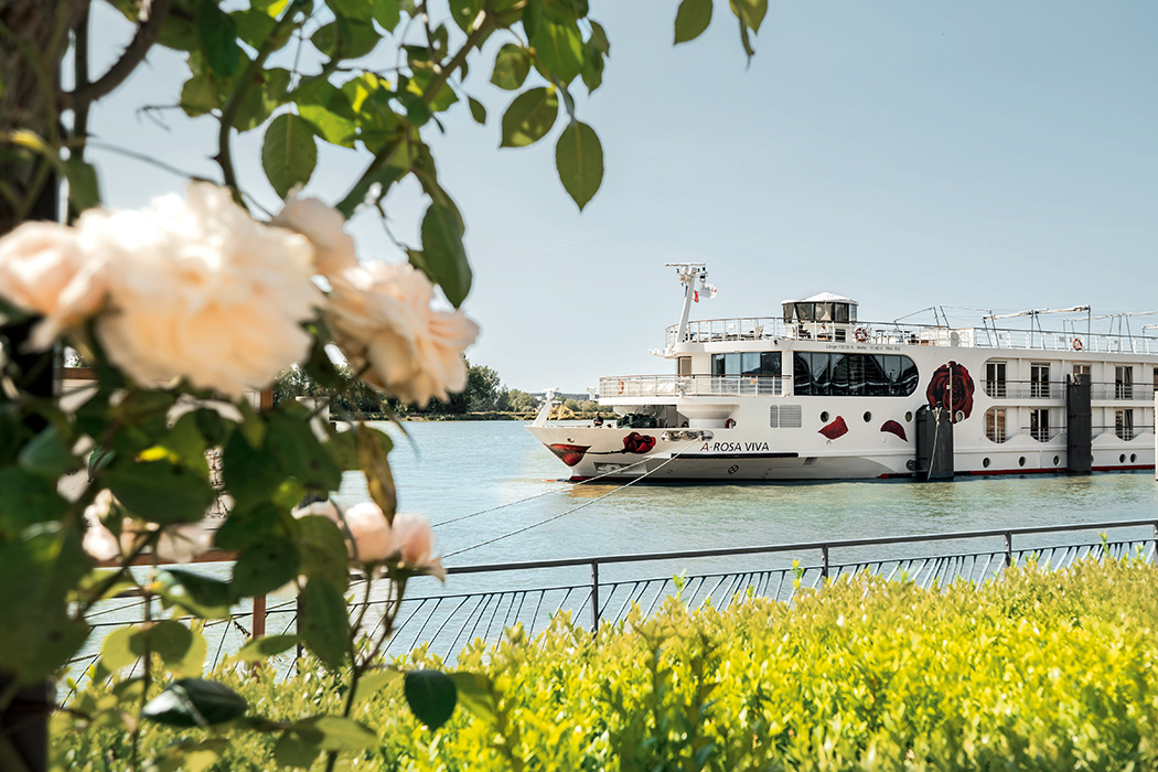 A Rosa Viva İle Seine - Rendez Turu-7