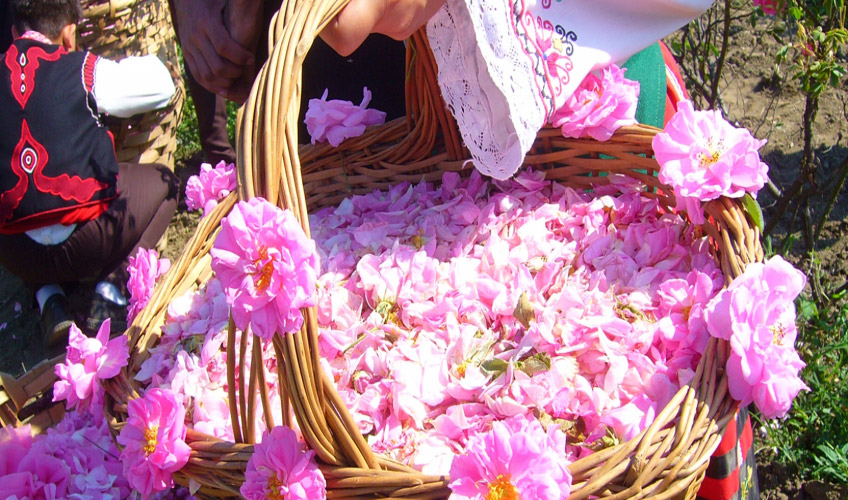 İzmir Çıkışlı Bulgaristan Sofya Plovdiv Gül Festivali Turu-5