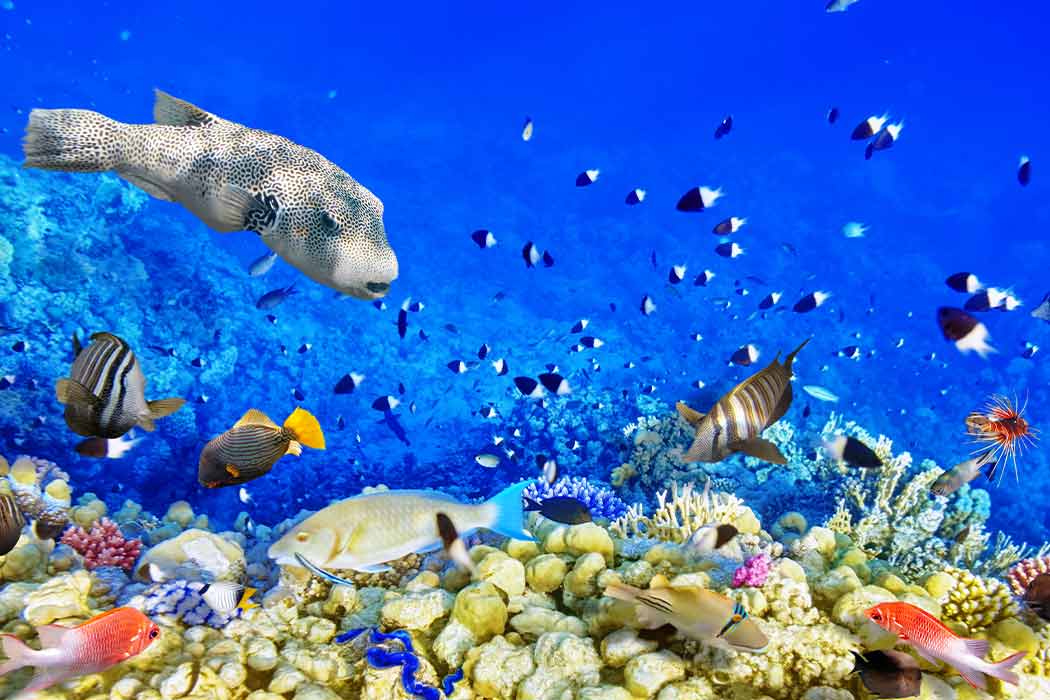 Kurban Bayramı Özel Sharm- Dahab- Kahire- İskenderiye Turu-12