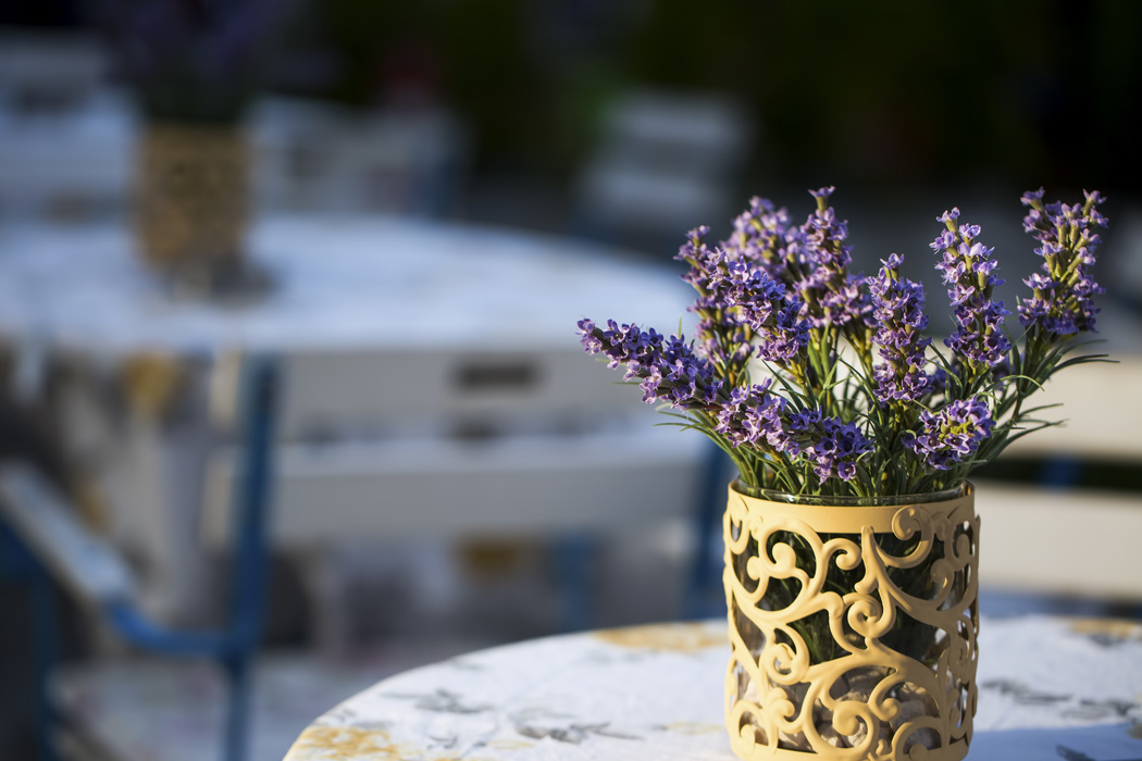 Çeşme Alaçatı Ot Ve Urla Enginar Festivali Turu-4