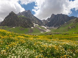 Ankara Çıkışlı Uçaklı Hakkari Şırnak Ve Ters Laleler Turu 16 Mayıs - 19 Mayıs 2026