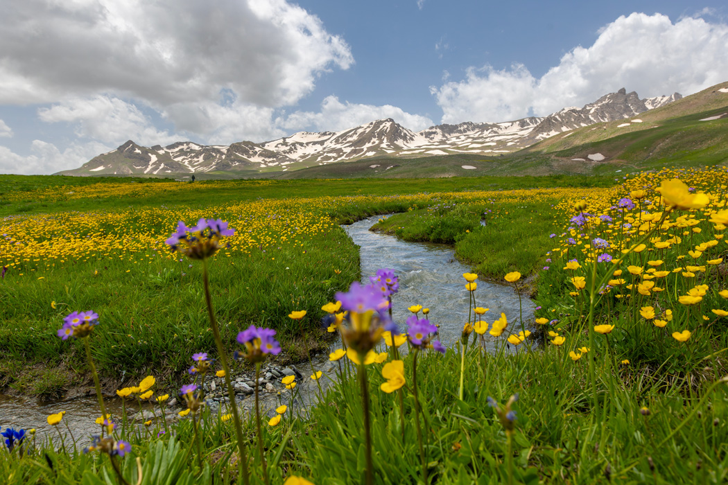 Uçaklı Hakkari - Şırnak - Van Turu-8