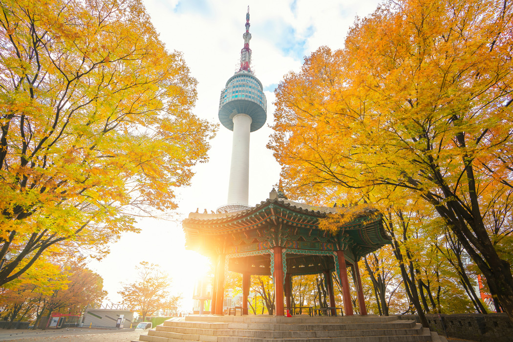 Koyo Zamanı Güney Kore - Japonya Turu-15