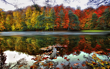 Ramazan Bayramı Özel İzmir Çıkışlı Batı Karadeniz - Yedigöller Turu 20 Mart - 22 Mart 2026