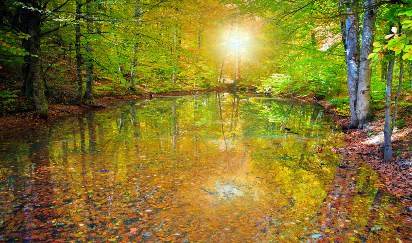 Ramazan Bayramı Özel İzmir Çıkışlı Şile - Ağva - Yedigöller Turu-4