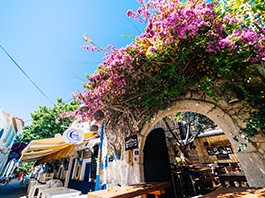 Ankara Çıkışlı Uçaklı Kuzey Ege Turu 25 Mayıs - 29 Mayıs 2026