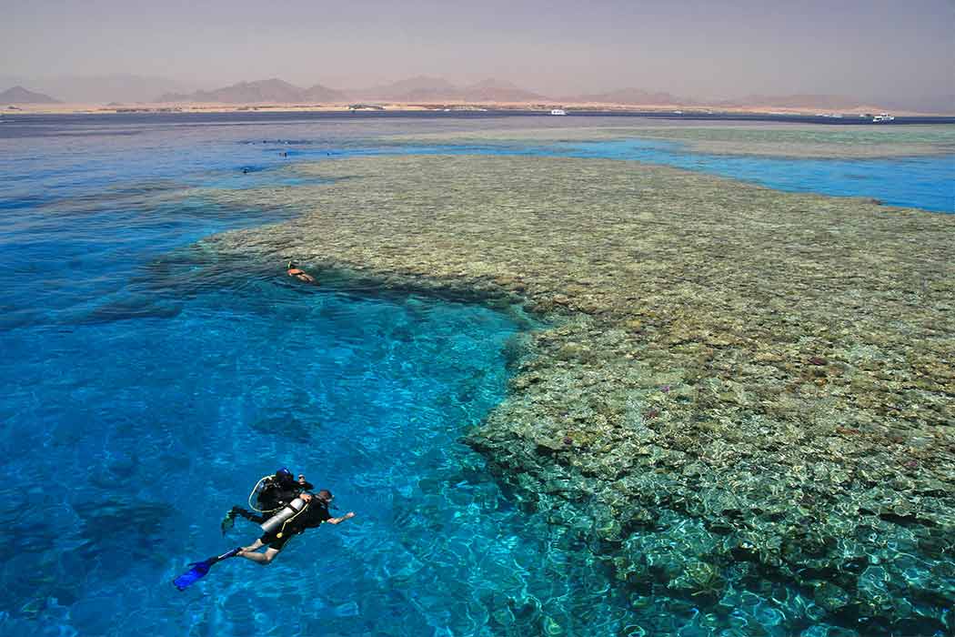 Kızıldeniz Akvaryumu Sharm El Sheikh Turu-7