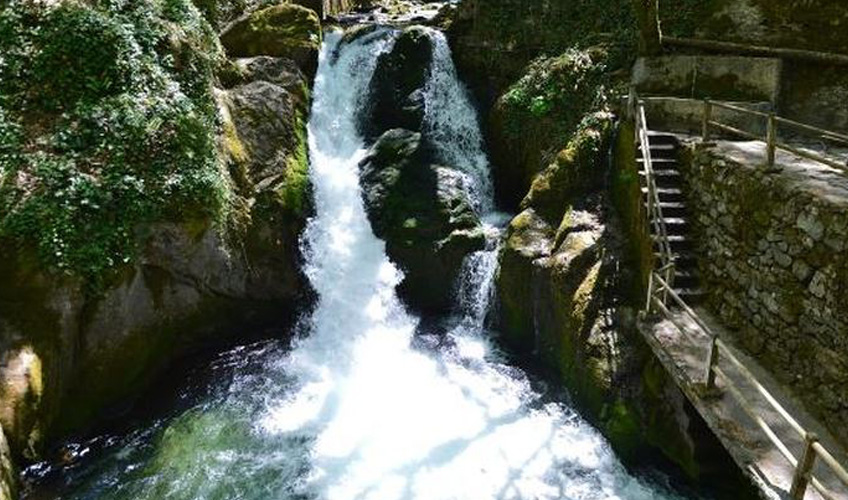 1 Mayıs Özel Ayvalık - Kazdağları Turu-4