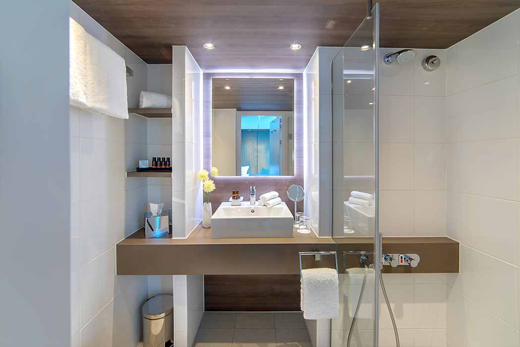 5 Yıldızlı Amadeus Provence Nehir Gemisi İle Burgonya - Provence Turu-8