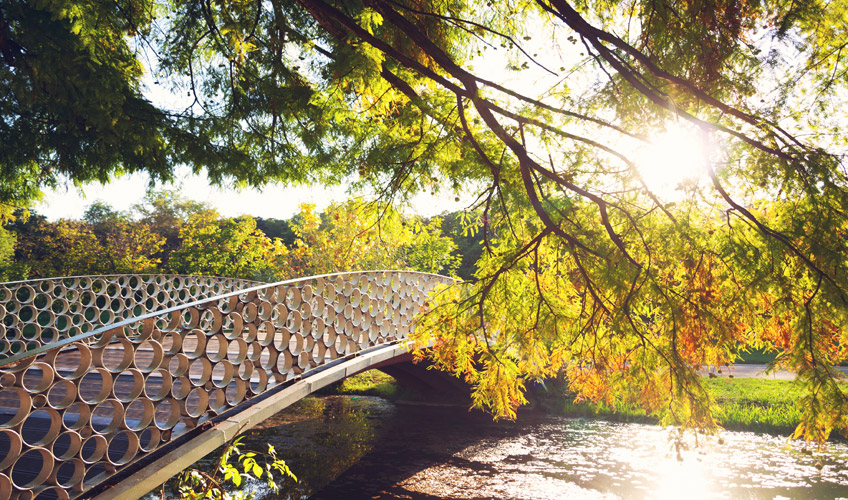 Otobüs İle Bükreş Turu-7