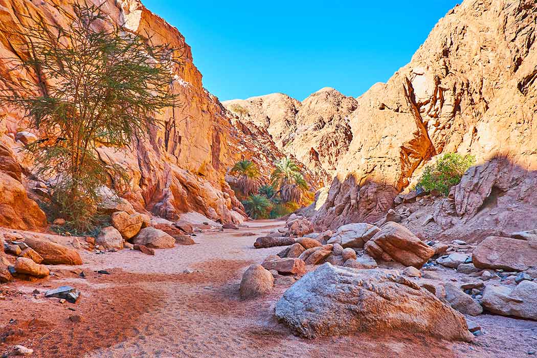 Sharm El Sheikh Turu - Gündüz Uçuşu - 5 Gece-11