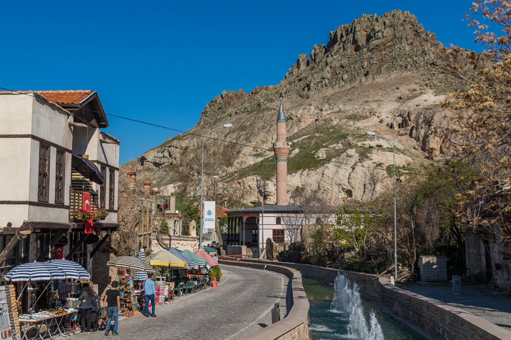 Hızlı Tren İle Konya Çatalhöyük Lale Bahçeleri Turu-4