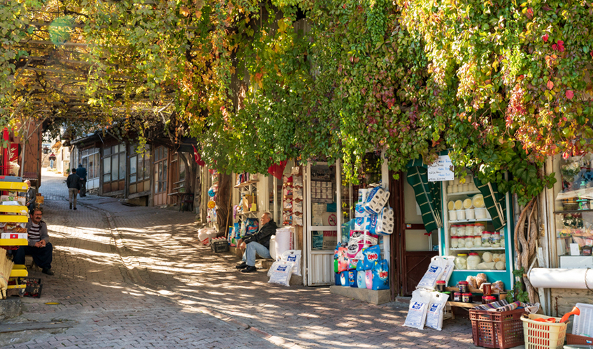 Sivas Elazığ Tunceli Erzincan Turu-8