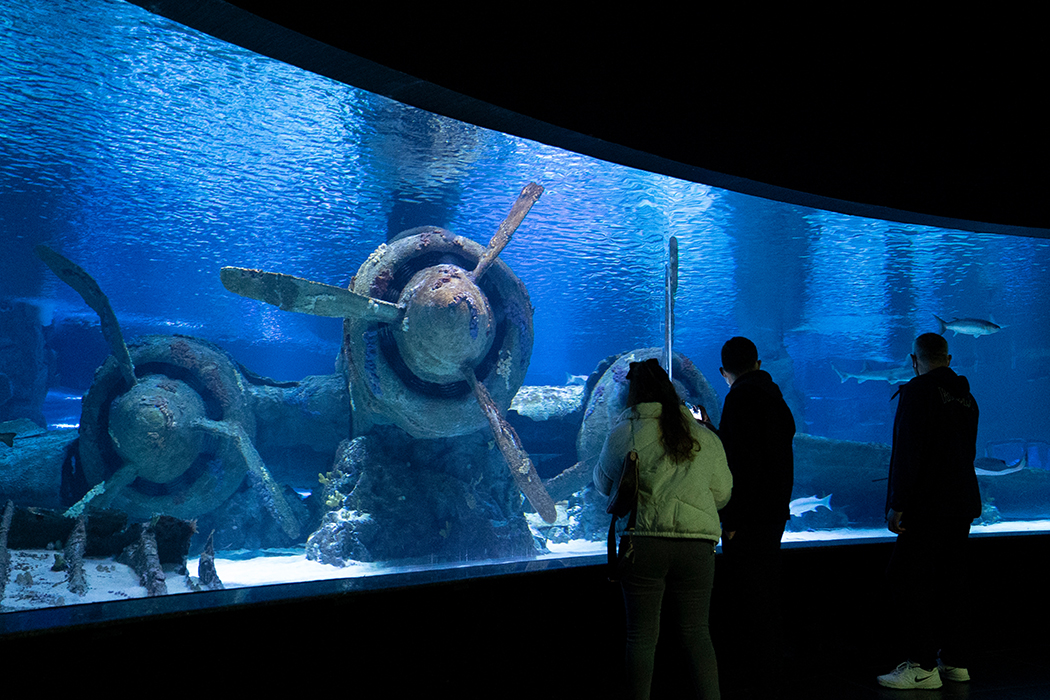 Antalya Aquarium-4