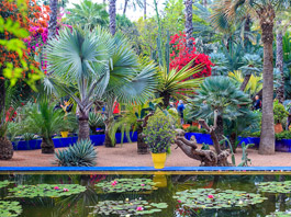 Fas Ve Sahra Çölü Turu 02 Mayıs - 09 Mayıs 2026