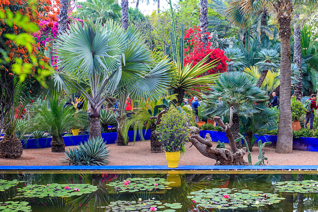 Elegant Fas Krallar Yolu - Marakeş Turu - Ekstra Turlar Dahil!-4