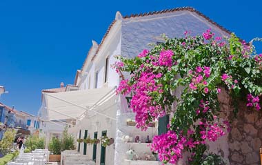 23 Nisan Özel İkonik Alaçatı Ot Festivali Ve Urla Enginar Çiçeği Festivali Turu 23 Nisan - 26 Nisan 2026