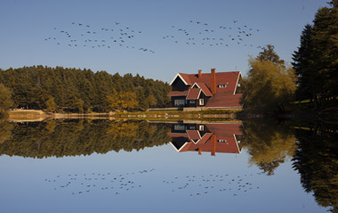 Kurban Bayramı Özel Abant - Yedigöller Turu 23 Mayıs - 24 Mayıs 2026