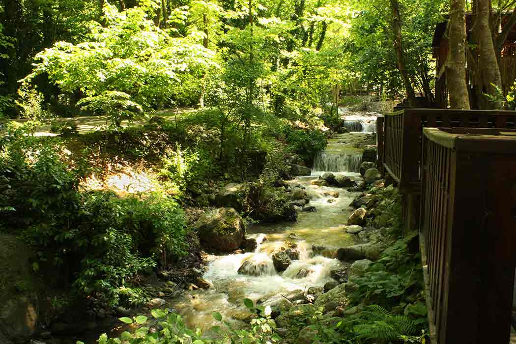 Kurban Bayramı Özel Maşukiye - Yedigöller - Abant Turu-6