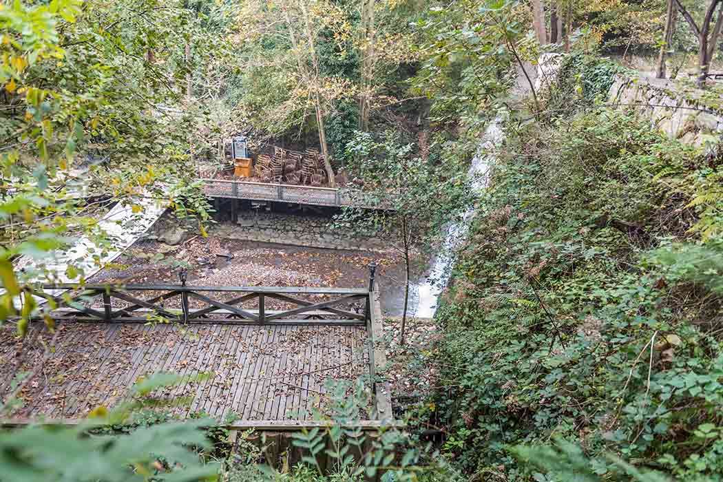 Kurban Bayramı Özel Maşukiye - Yedigöller - Abant Turu-7