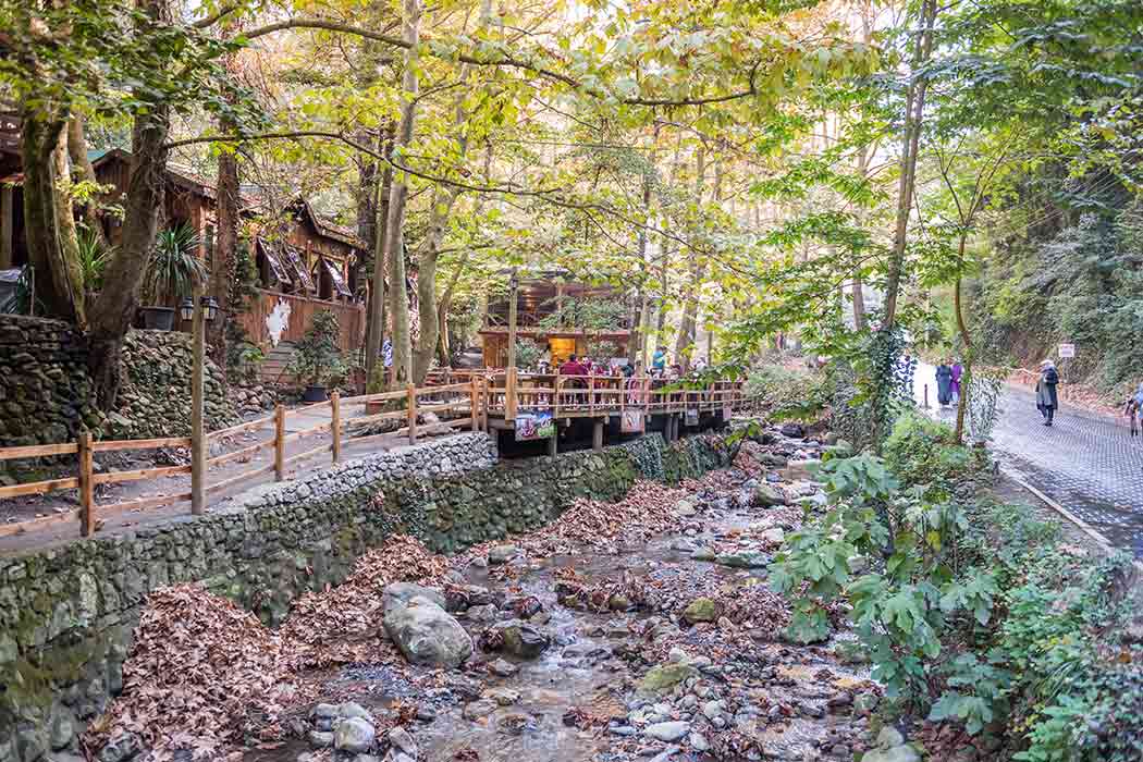 Kurban Bayramı Özel Maşukiye - Yedigöller - Abant Turu-9