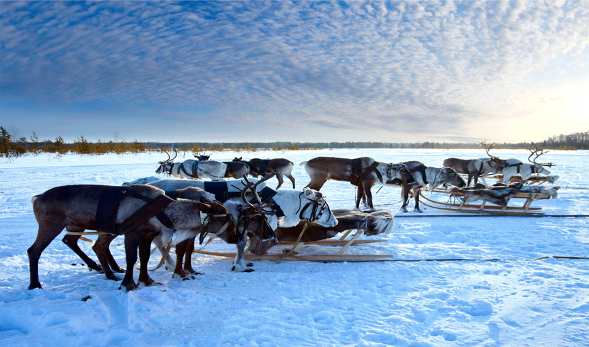 Büyüleyici Kuzey Işıkları - Lapland Turu - Tüm Turlar Dahil-9