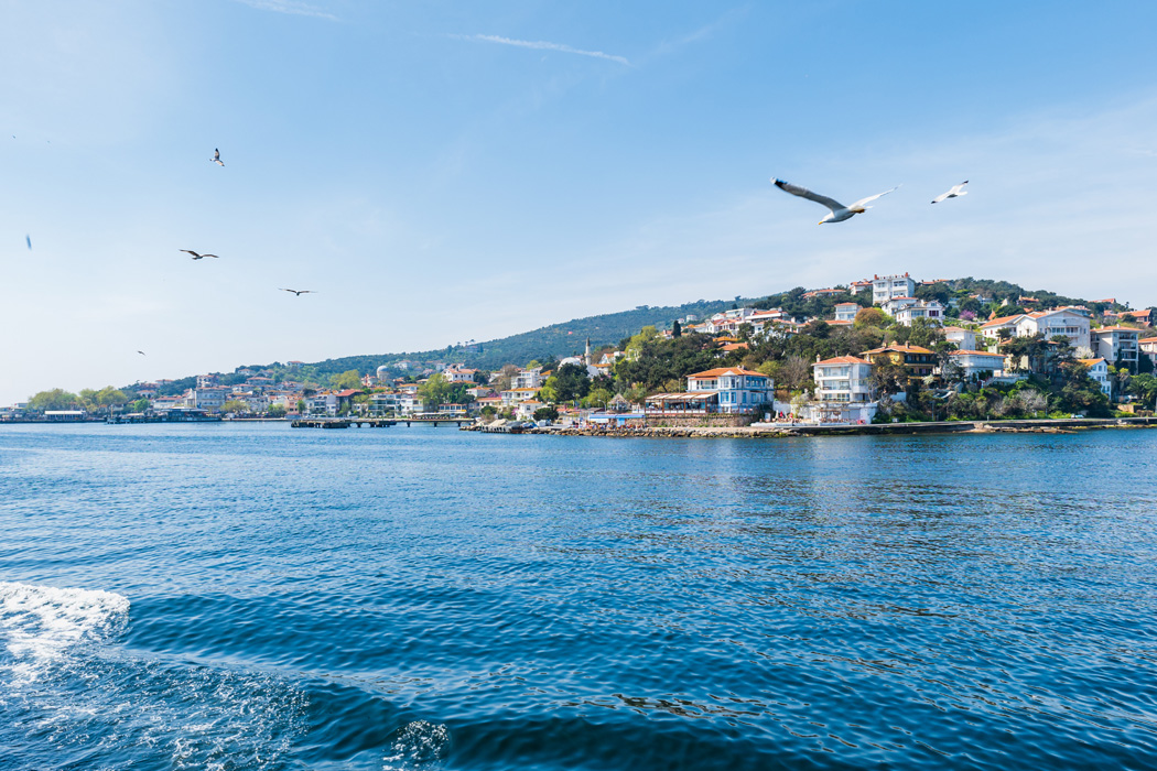 Ankara Çıkışlı İstanbul Tarihi Yarımada Şile - Ağva Ve Adalar Turu-15