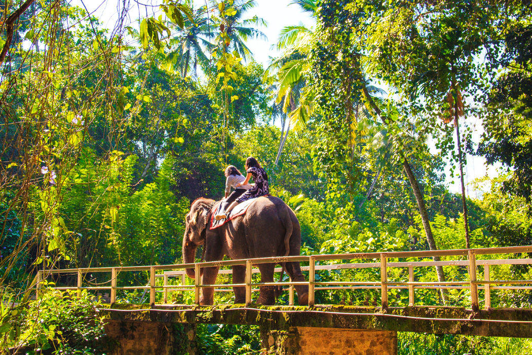 Sri Lanka - Maldivler Turu-12