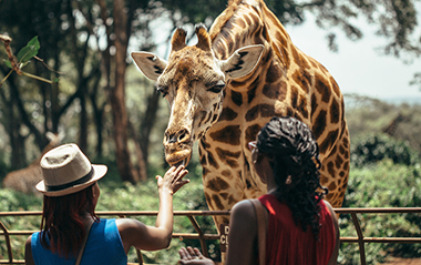 Afrika Senfonisi Kenya - Zanzibar Turu 05 Mart - 14 Mart 2027
