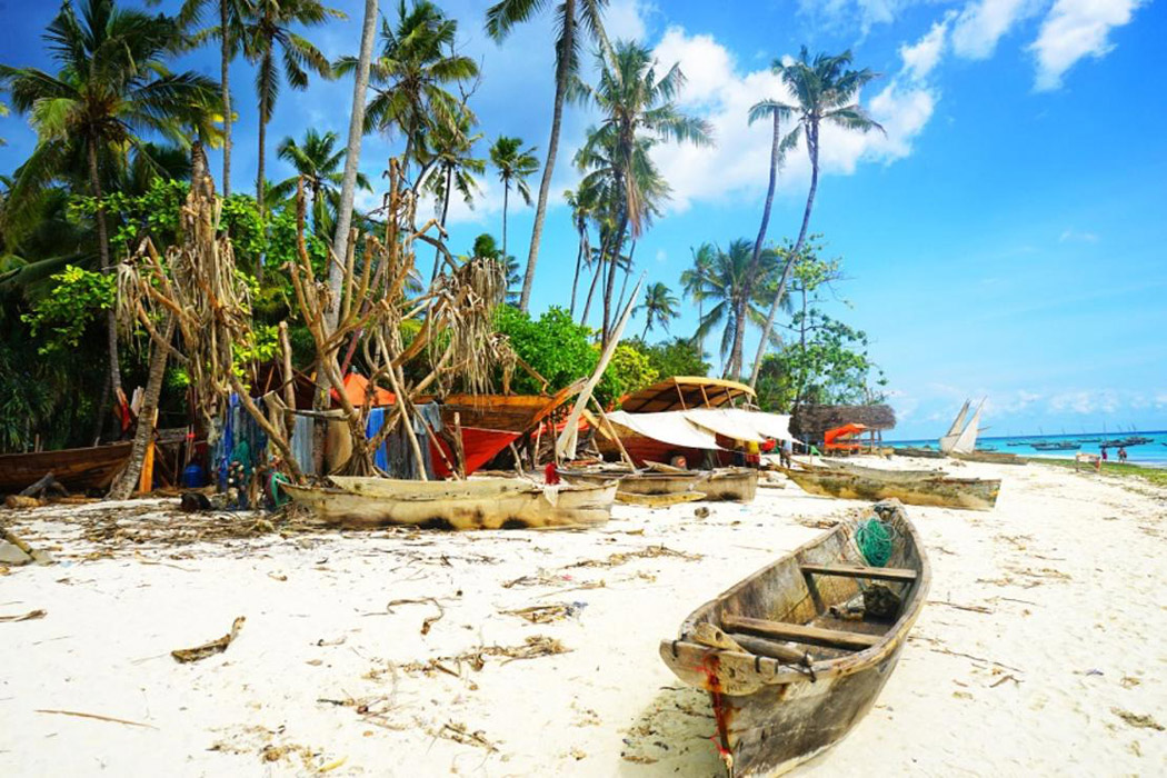 Afrika Senfonisi Kenya - Zanzibar Turu-16