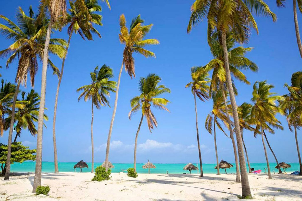 Afrika Senfonisi Kenya - Zanzibar Turu-18