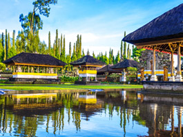 Comfort Ubud - Bali Turu - Ekstra Turlar Dahil! 27 Ocak - 03 Şubat 2027
