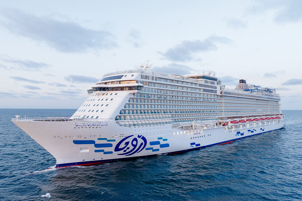 Aroya Cruises İle Kızıldeniz İncileri Ve Umre Yolu Turu - Umre Dahil !!-18