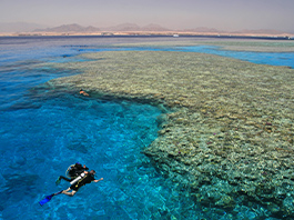 Sharm El Sheikh Turu - Transfer Saatine Kadar Otel Kullanımı - 5 Gece 14 Mayıs - 20 Mayıs 2027