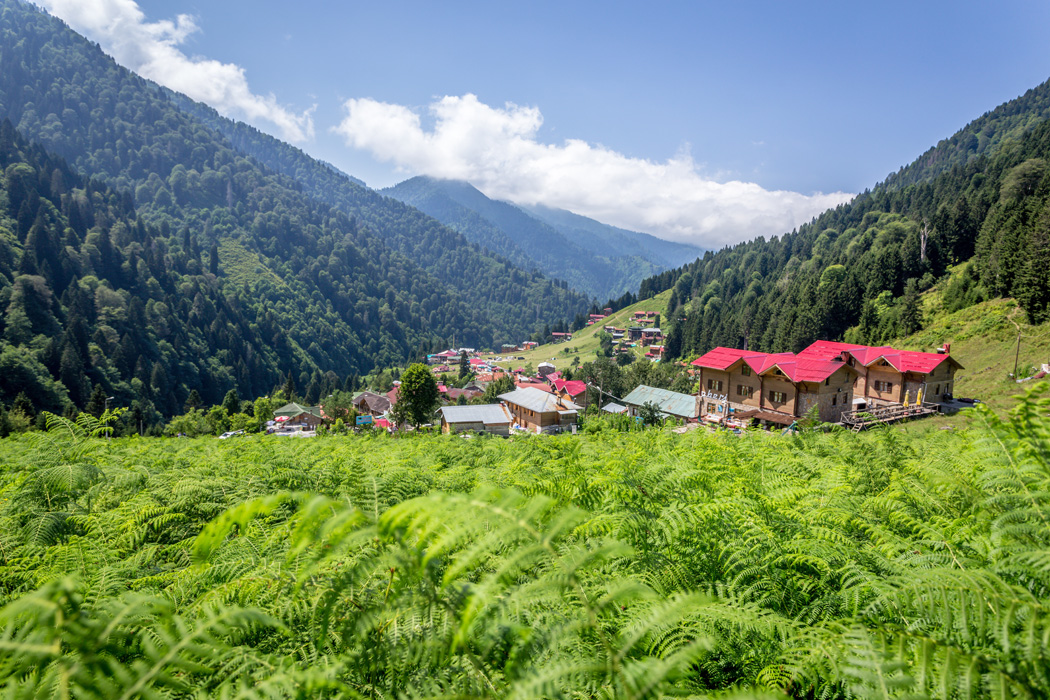 İzmir Çıkışlı Uçaklı Karadeniz Yaylalar Ve Batum Turu-12