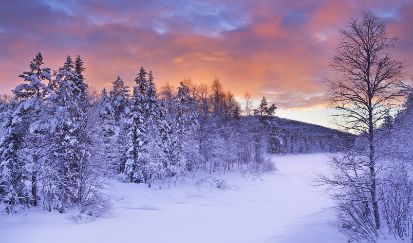 Lapland Kuzey Işıkları Özel St. Petersburg - Murmansk - Moskova Turu - Vize Ücreti Dahil!-7