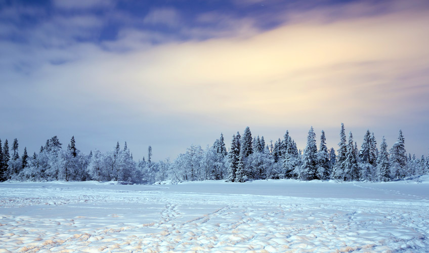 Lapland Kuzey Işıkları Özel St. Petersburg - Murmansk - Moskova Turu - Vize Ücreti Dahil!-8