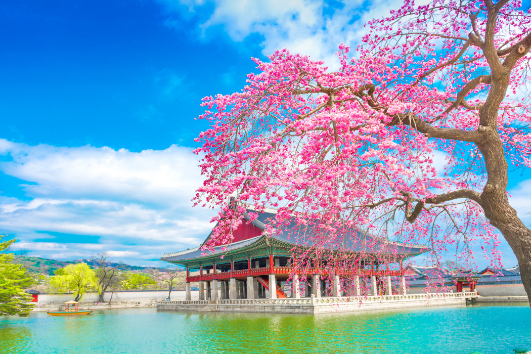 Platinum Doğu Asya’nın Çiçeği Ve Güneşi Güney Kore - Japonya Turu-6