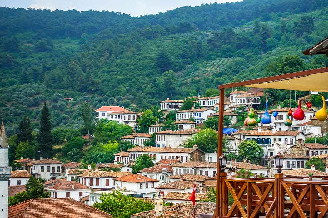 Ankara Çıkışlı Butik Ege Ve Pamukkale Turu-7