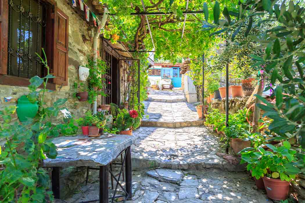 Kuşadası - Foça - Ayvalık Turu-8