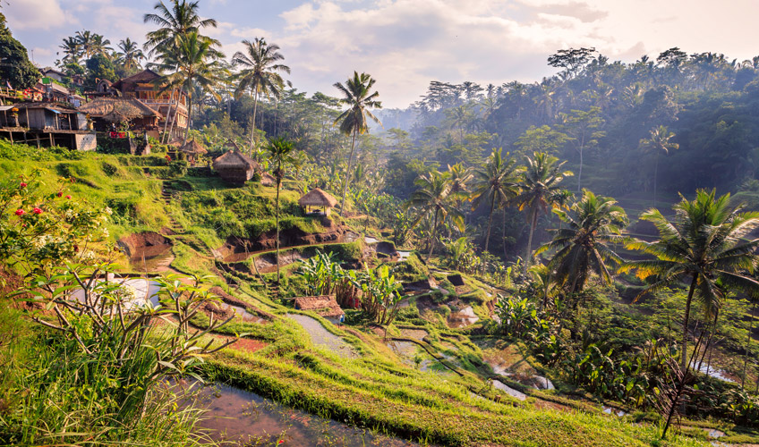 Phuket - Bali Turu-8