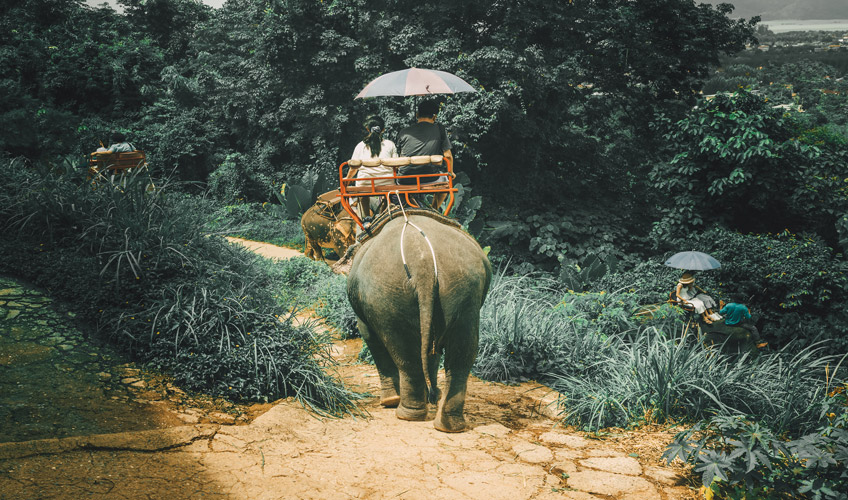 Ramazan Bayramı Özel Comfort Bangkok- Pattaya- Phuket - Kuala Lumpur Turu-8