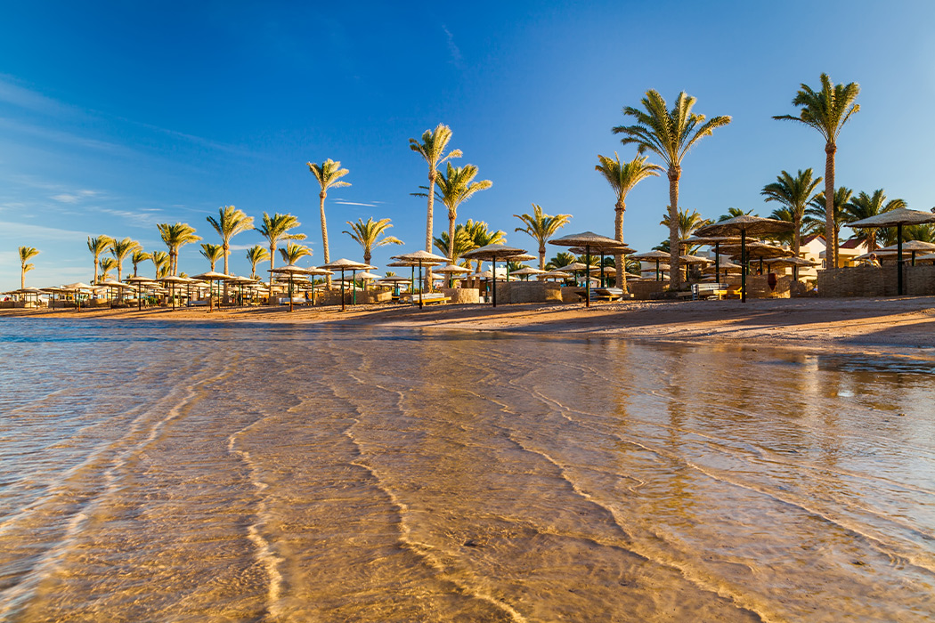 Kızıldeniz Rüyası; Prestij Sharm El Sheıkh Turu-5