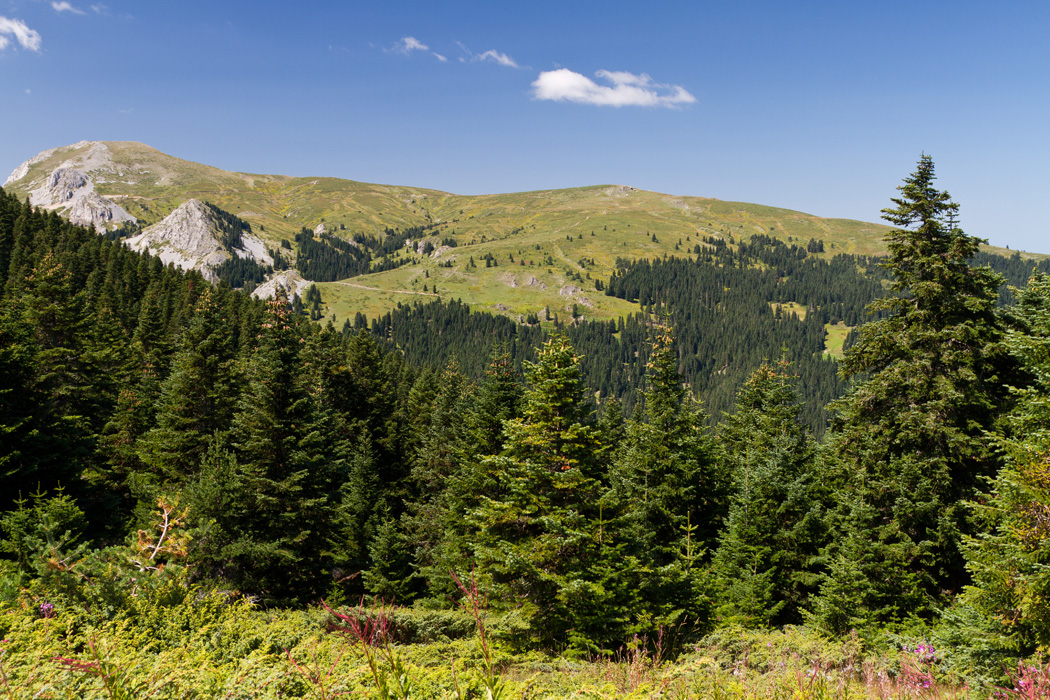 Batı Karadeniz Turu - 3 Gece-8