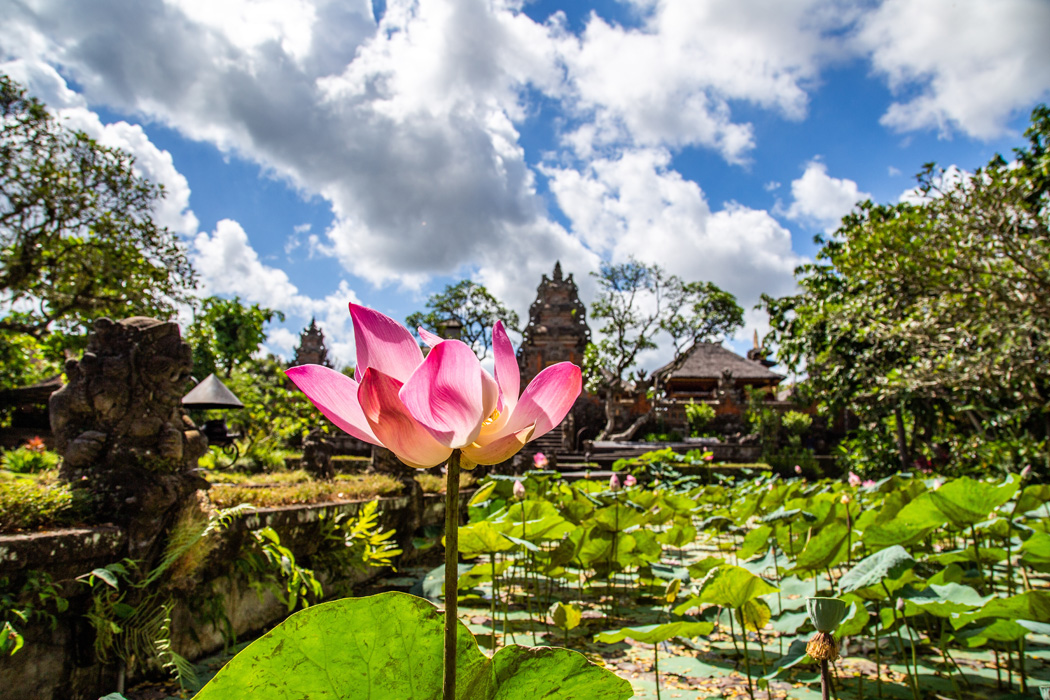 Ramazan Bayramı Özel Rüya Ada Bali- Ubud Turu-9