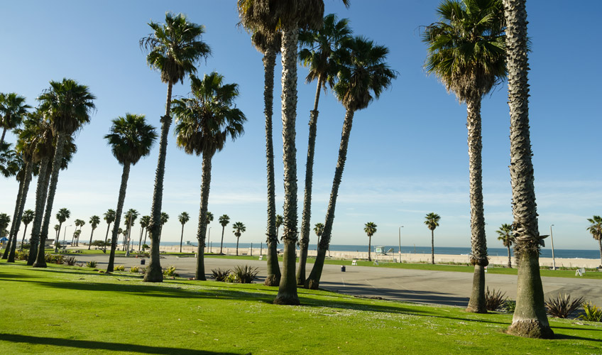 Hawaii'li Amerika Los Angeles - San Francisco Turu-7