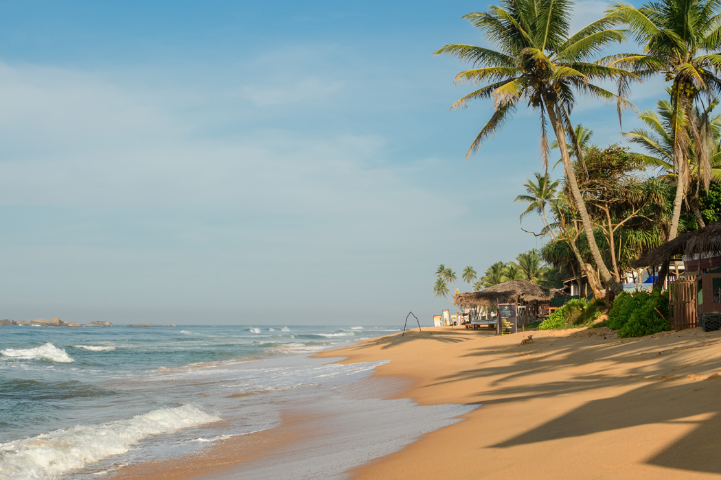 Platinum Mücevher Adası Sri Lanka Turu-12