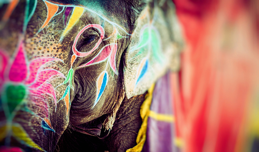 Hindistan Holi Festivali Turu - Tüm Turlar Dahil!-7