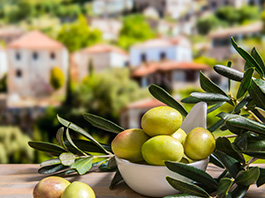 Ayvalık Zeytin Hasadı Festivali Turu