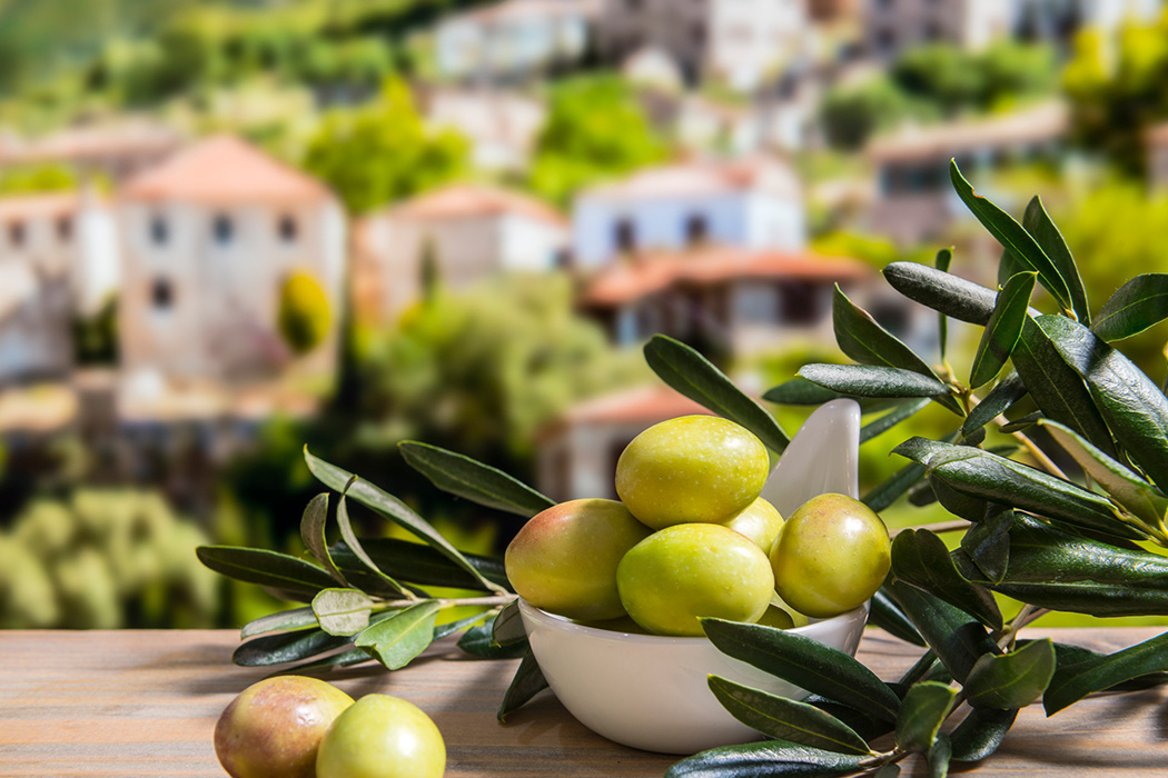 Ayvalık Zeytin Hasadı Festivali Turu